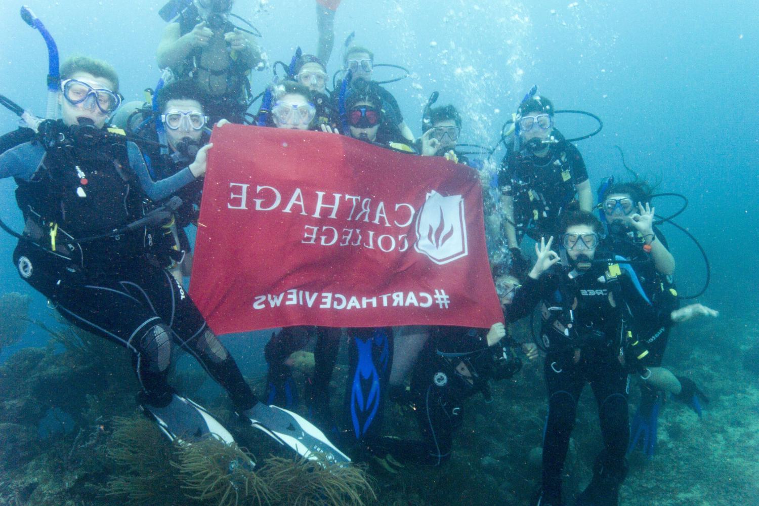 学生们手持<a href='http://yieg.ngskmc-eis.net'>博彩网址大全</a>旗帜，在j学期洪都拉斯游学之旅中潜水.